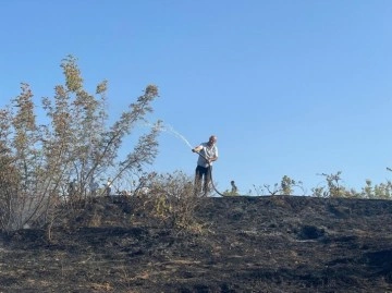 Siirt’te bağda çıkan yangın, çiftçinin emeğini kül etti