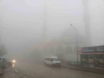 Sincik ilçesinde yoğun sis etkili oldu