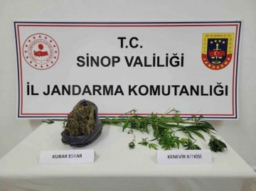 Sinop’ta uyuşturucu operasyonu