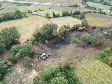 Sinop’ta yangın: 10 dönüm alan zarar gördü