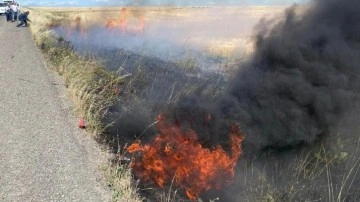 Şırnak'ta, 60 dönüm buğday ekili alan yandı