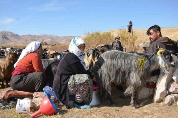 Şırnak’ta berivanların şartlarının iyileştirilmesinde devletten tam destek