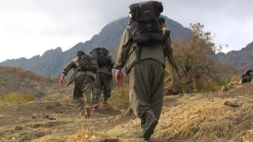 Şırnak'ta PKK/KCK'lı 3 terörist ikna yoluyla teslim oldu