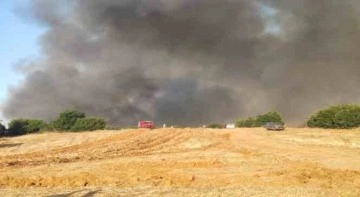 Tekirdağ’daki orman yangını yerleşim yerlerini tehdit ediyor