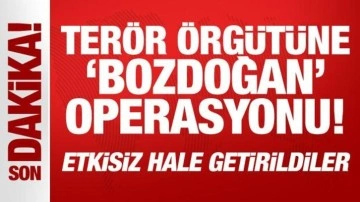 Terör örgütüne 'bozdoğan' operasyonu! Etkisiz hale getirildiler