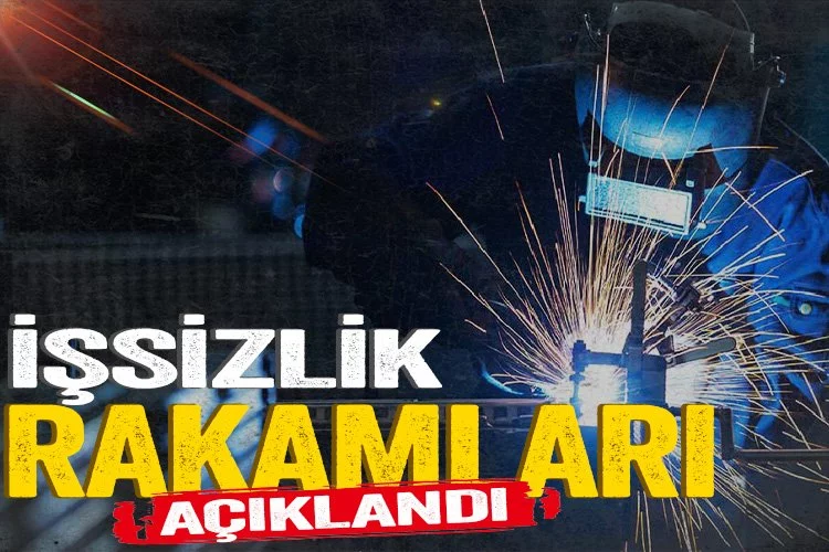 TÜİK işsizlik rakamlarını açıkladı