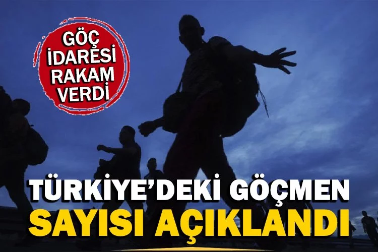 Türkiye’deki göçmen sayısı açıklandı