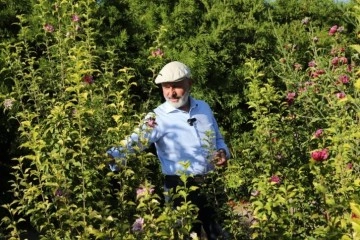 Türkiye yüzyılında herkesin en az iki dikili ağacı oldu