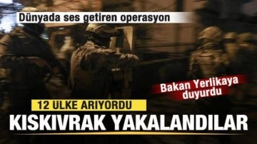 Türkiye'den dünyada ses getiren operasyon! 12 ülke arıyordu! Kıskıvrak yakalandılar