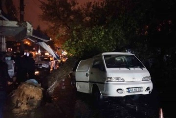 Üzerine ağaç düşen aracın sürücüsü yara almadan kurtuldu