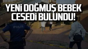 Vicdanları sızlatan olay: Köpekler tarafından parçalanmış bebek cesedi bulundu