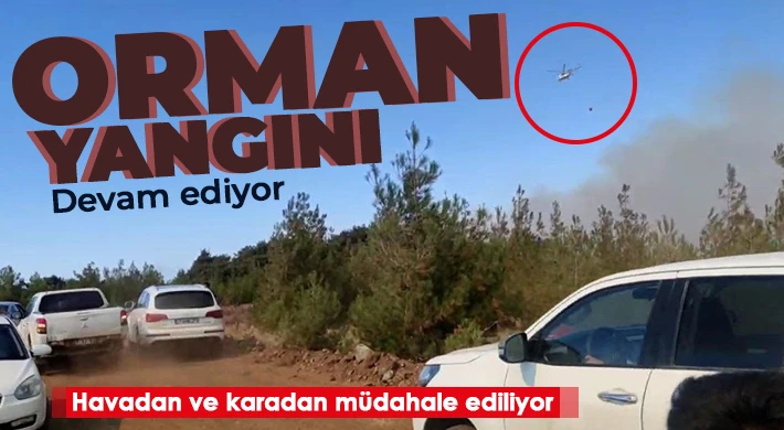 Yangına çok sayıda ekip, helikopter ve söndürme uçağı ile müdahale ediliyor 