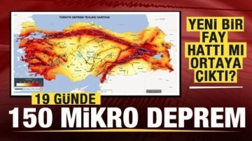 Yeni bir fay hattı mı ortaya çıktı? 19 günde 150 mikro deprem