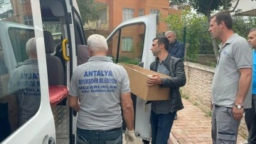 Yürek yakan olay! Antalya'da evdeki yangının ortasında kalan 2 aylık bebek yaşamını yitirdi